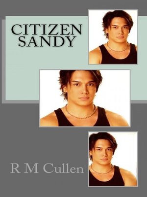 cover image of Citizen Sandy